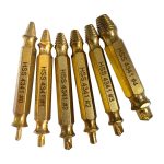 6pc Extractor Double Head Screw Slide Tooth Removal Tool Screwdriver Atch Head Electric Tool Accessory Set (Titanium Plating & Natural Color)