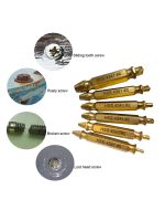 6pc Extractor Double Head Screw Slide Tooth Removal Tool Screwdriver Atch Head Electric Tool Accessory Set (Titanium Plating & Natural Color)